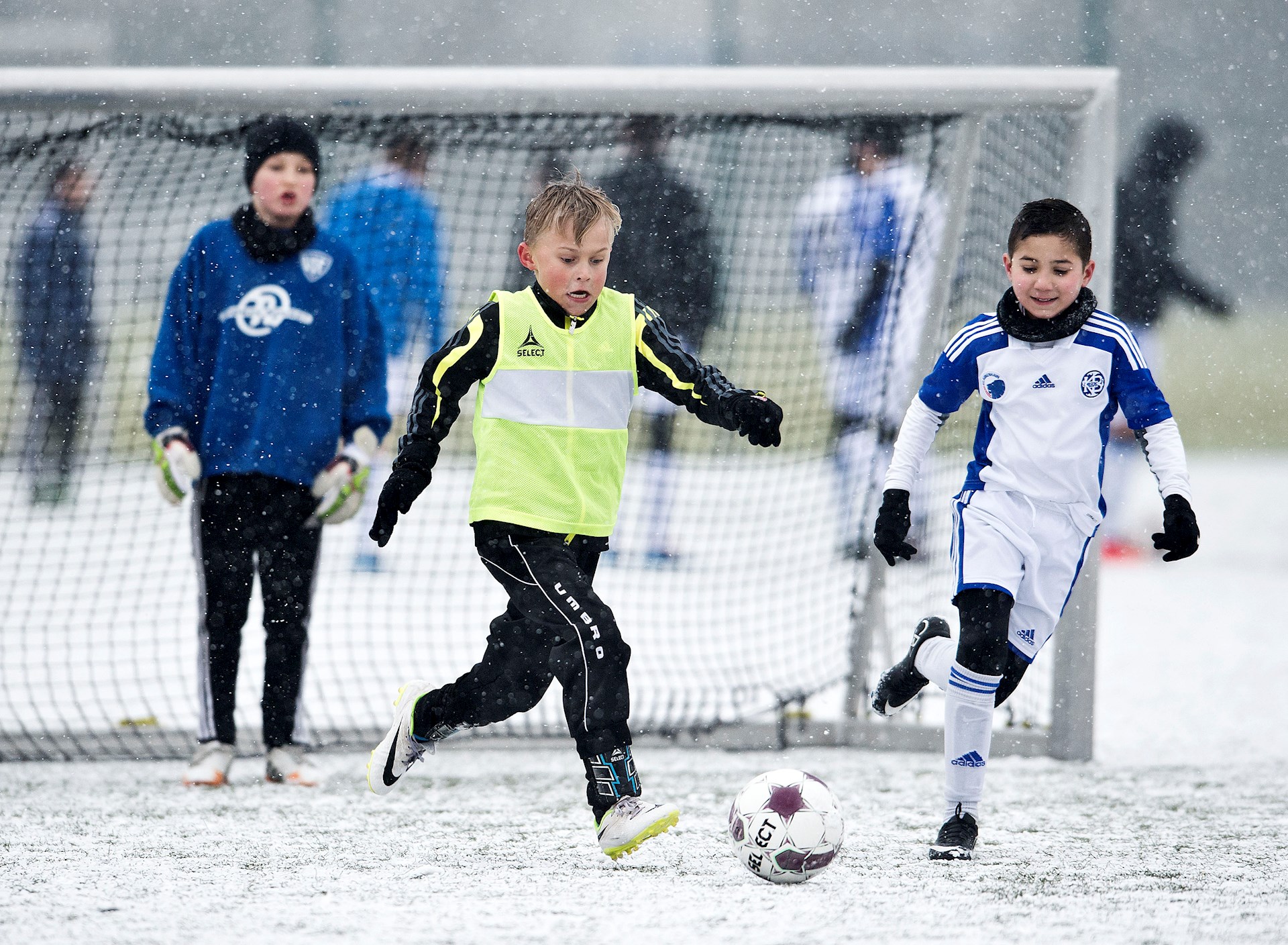 20150124FB-K856.jpg 20150124FB-K856.jpg